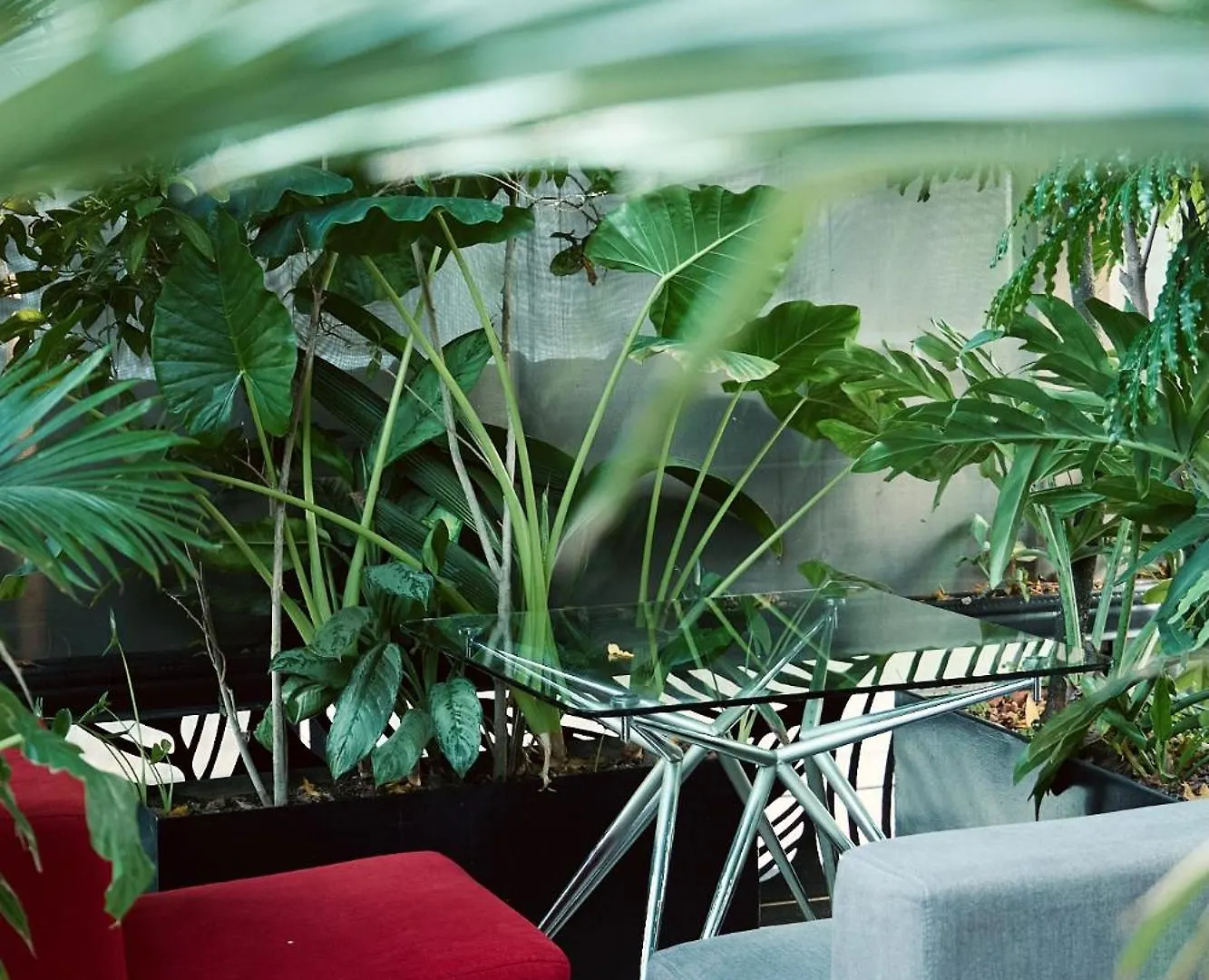 ****  Now Hotel Cali (Adults Only) Colombia